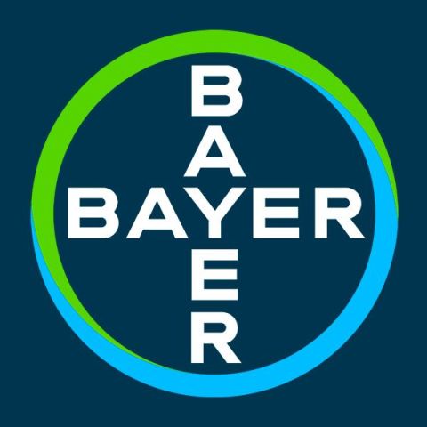 The Bayer Collection