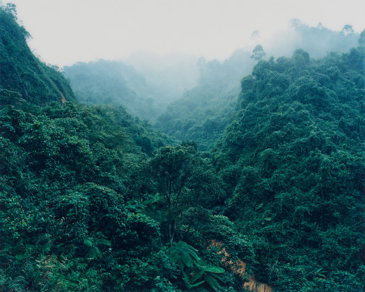 A'Luoi (Aus: Vietnam)