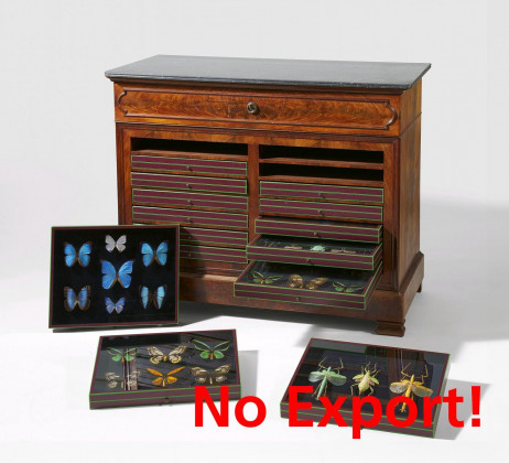 Entomological cabinet