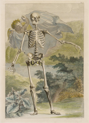 Skelett vor einer Landschaft