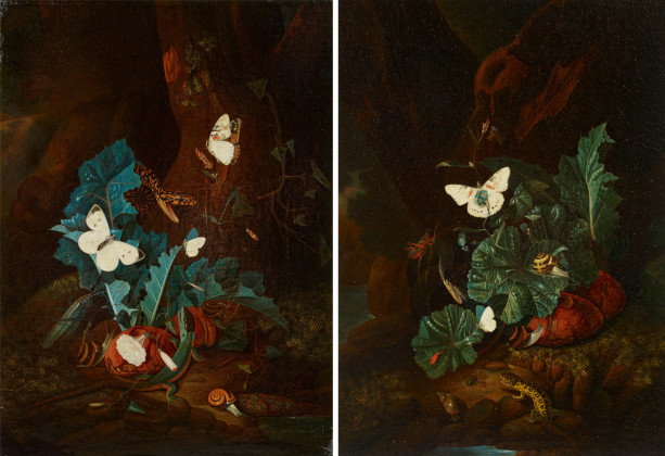 Zwei Gemälde: Waldbodenstillleben mit Schmetterlingen und Reptilien