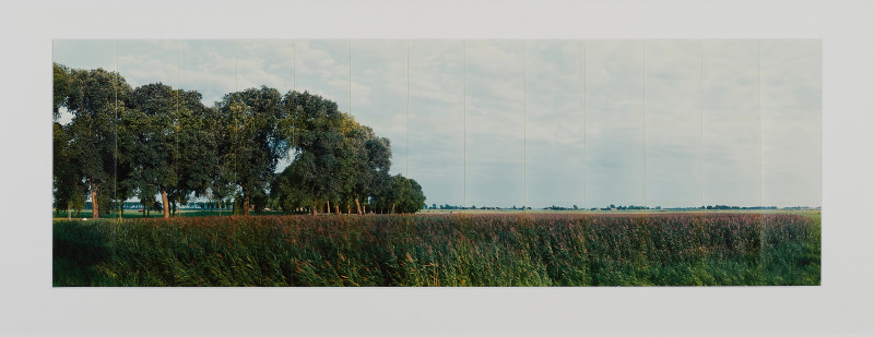 De Zwartendijk en de Polder Dronthen, 20. August 1994