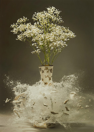 Ohne Titel (Gypsophila paniculata L.)