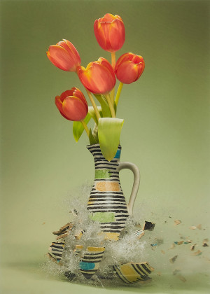 Untitled (Tulipa IV)