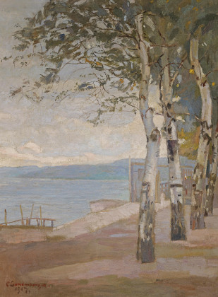 Birken am Seeufer (Ammersee?)