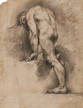 Study of a Male Nude