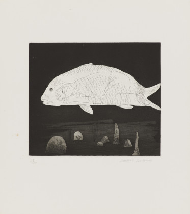 The Boy Hidden in a Fish. Aus: Illustrations for Six Fairy Tales from the Brothers Grimm