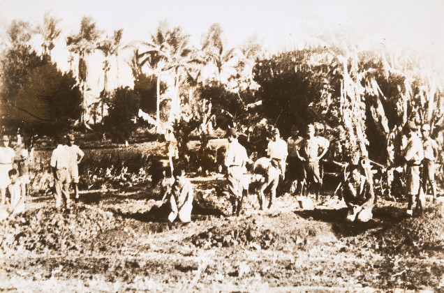 Japanese execute three during occupation of guam