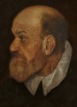 Portrait of a Man in Profile