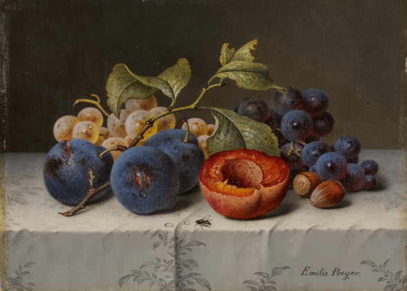 Stillleben mit Weintrauben, Plaumen am Zweig, einer aufgeschnittenen Aprikose und Haselnüssen