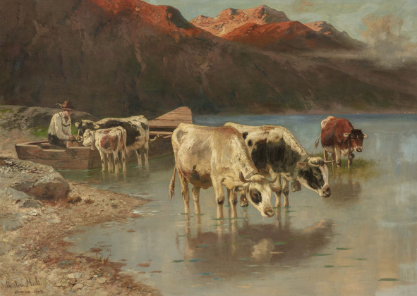 Cows in the Mountain Lake