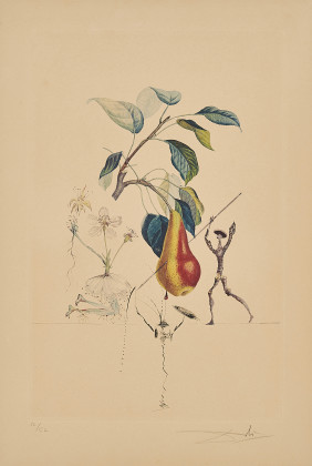 Poir Don Quichotte (From: Flordali Les Fruits)