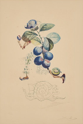 Prunier hâtif (Aus: Flordali Les Fruits)