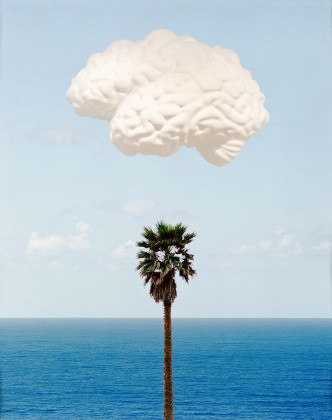 Brain Cloud (With Seascape and Palm Tree)