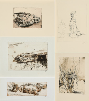 Mixed Lot of 5 Etchings