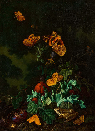 Forest Still Life with Butterflies and Frog