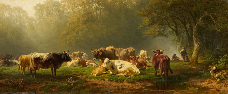 Camped Herd in the Morning Light