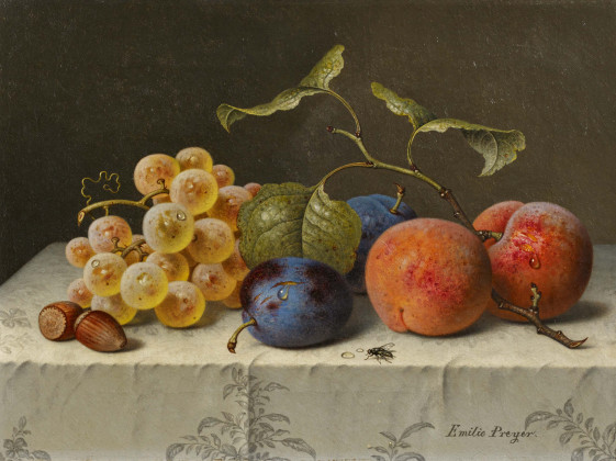 Fruit Still Life with Apricots, Plums and Grapes on Table with Damask Cloth