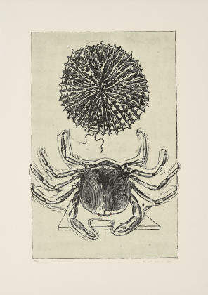 Aus: Max Ernst, Histoire Naturelle
