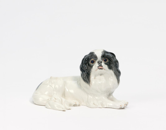 Japanese Chin