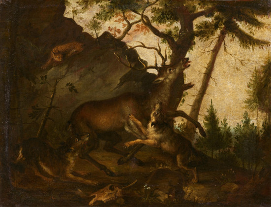 Jagdhunde stellen einen Hirschen