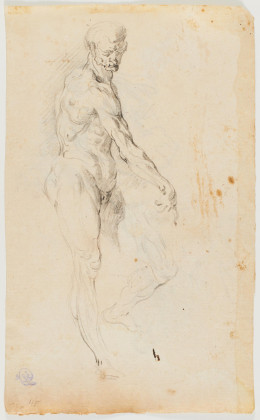 Sketch with Male Nude