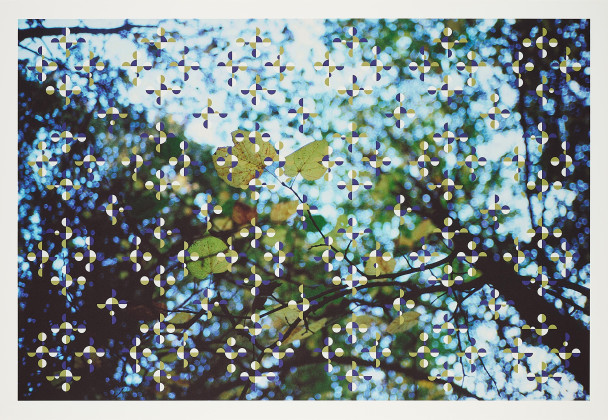 Light through Leaves (für Parkett 48)