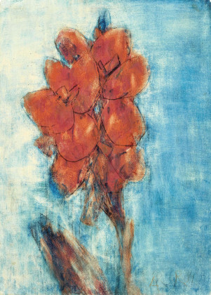 Rote Blüte auf blauem Grund (Canna Indica)
