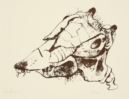 Tierschädel I