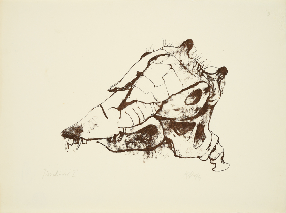 Tierschädel I