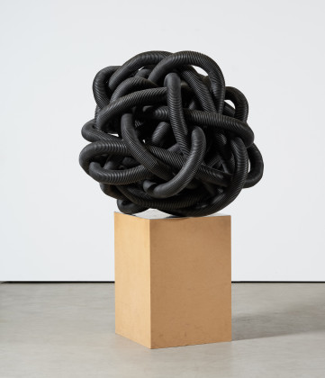 Gordian Knot