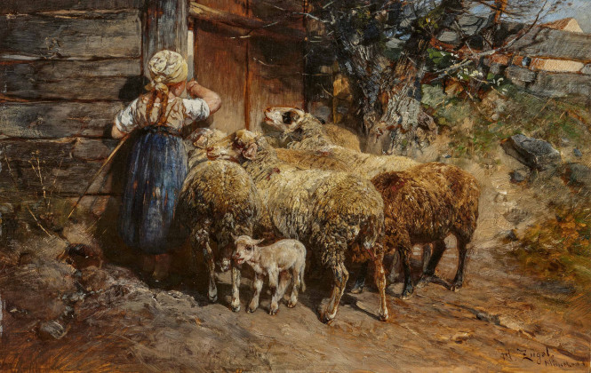 Schafe an der Stalltür