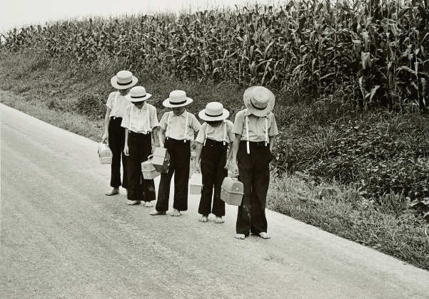 Von Amischen und Hutterern (Schüler auf der Landstraße)