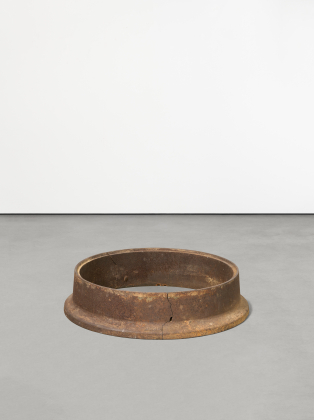 Untitled (Tree Ring)