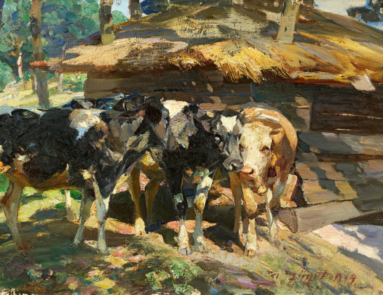 Calves in front of a Shed