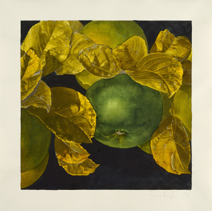 Untitled (Apples)