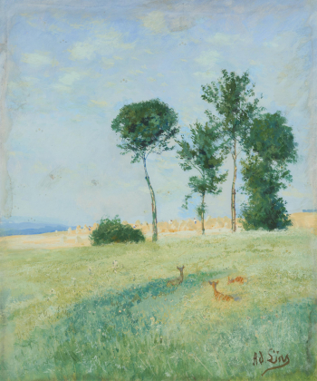 Rehe auf der Sommerwiese