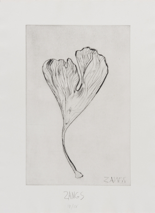 Untitled (Gingko leaf)