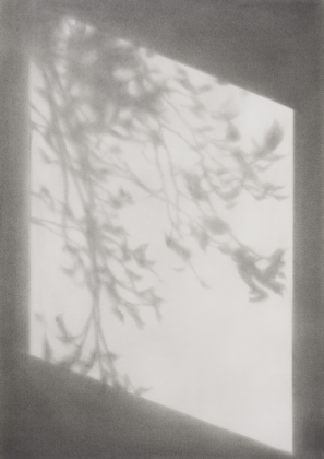 Untitled (Schattenspiel)