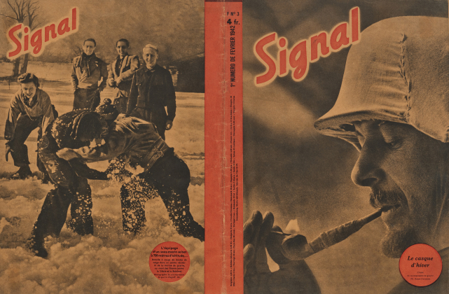 Signal