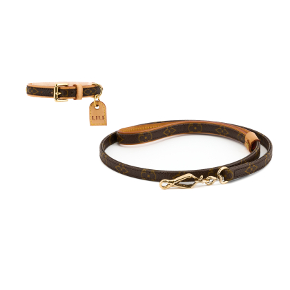 Dog leash and collar