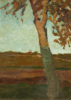 Birke vor Herbstlandschaft