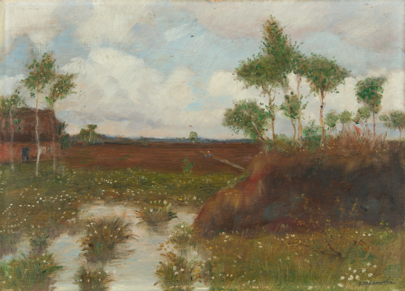 Frühling im Moor