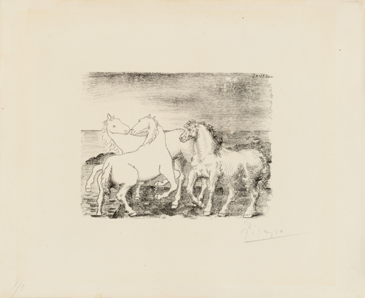 Trois chevaux au bord de la mer
