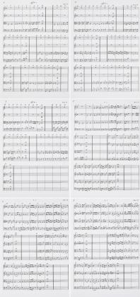 Opus 26