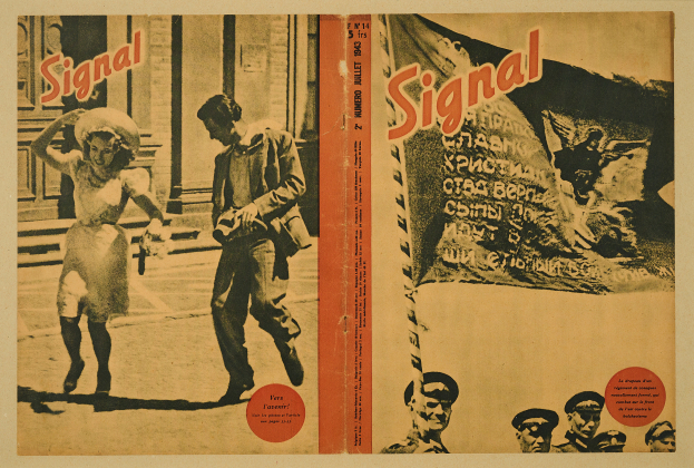 Signal