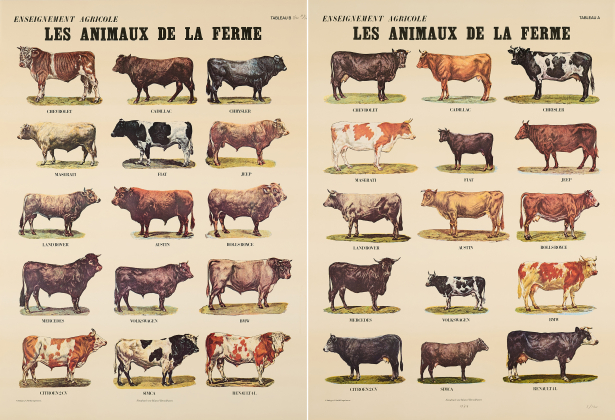 Les Animaux de la Ferme