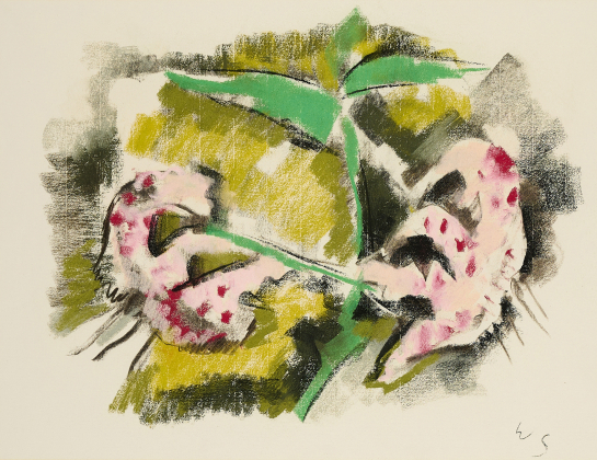 Blüten