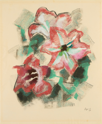Rote Blüten