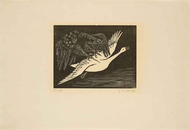 Adler und Schwan